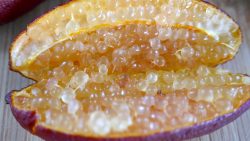 Australian Finger Limes