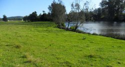 Riverfront property- Forster Hinterland-Glen Ora Rd, Nabiac